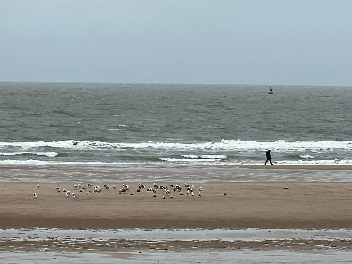 Cosy 1 Bedroom Apartment 900M From Beach Oostende